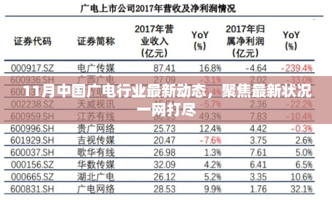 11月中国广电行业最新动态，聚焦最新状况一网打尽