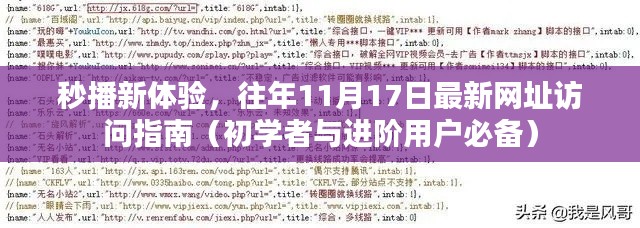 秒播新体验，往年11月17日最新网址访问指南（初学者与进阶用户必备）