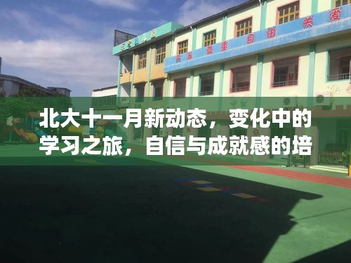 北大十一月新动态，变化中的学习之旅，自信与成就感的培育之地