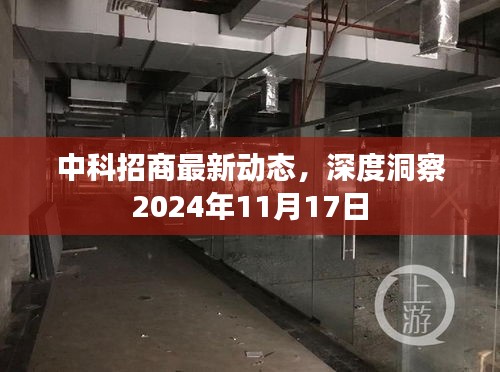 中科招商最新动态，深度洞察2024年11月17日