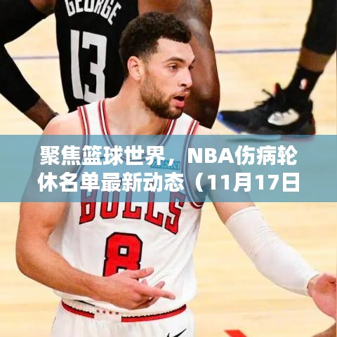 聚焦篮球世界，NBA伤病轮休名单最新动态（11月17日更新）