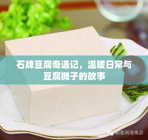 石牌豆腐奇遇记，温暖日常与豆腐摊子的故事