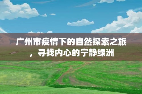 广州市疫情下的自然探索之旅，寻找内心的宁静绿洲