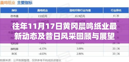 往年11月17日黄冈晨鸣纸业最新动态及昔日风采回顾与展望