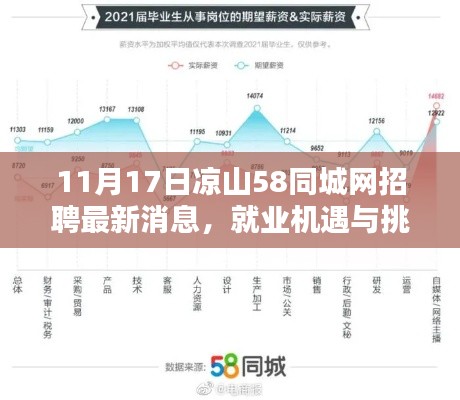 11月17日凉山58同城网招聘最新消息，就业机遇与挑战一览