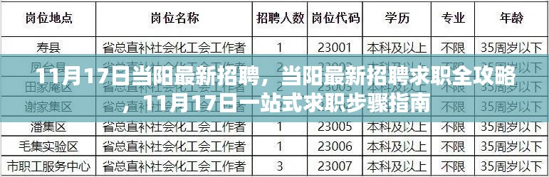 11月17日当阳最新招聘，当阳最新招聘求职全攻略，11月17日一站式求职步骤指南