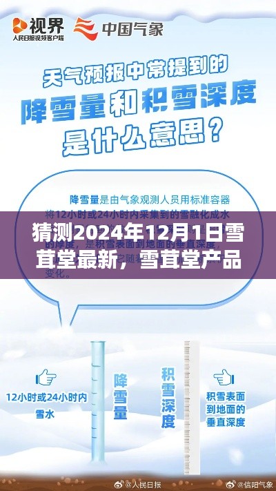 2024年雪茸堂最新产品预测与评测，展望产品特性及未来使用体验分析