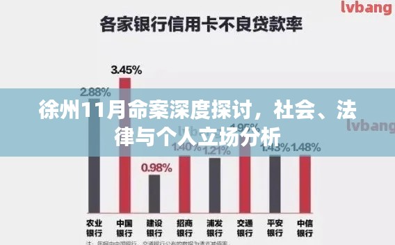 徐州11月命案深度探讨，社会、法律与个人立场分析