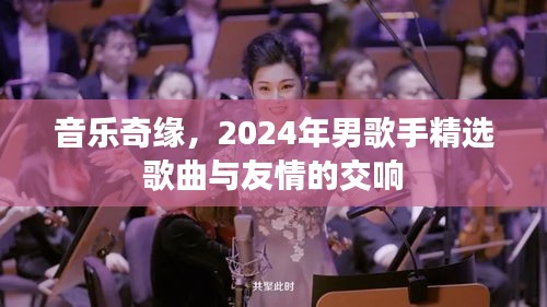 音乐奇缘，2024年男歌手精选歌曲与友情的交响