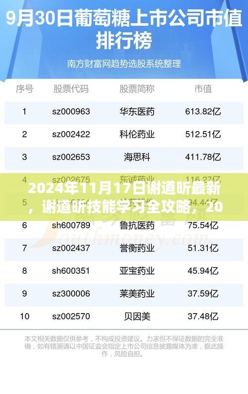 2024年11月17日谢道昕最新，谢道昕技能学习全攻略，2024年11月17日最新步骤指南