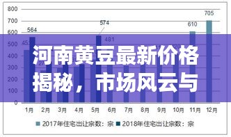 河南黄豆最新价格揭秘，市场风云与产业影响分析（11月版）
