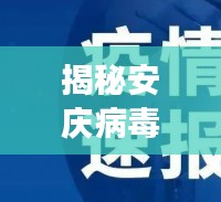 揭秘安庆病毒十一月最新动态，深入了解疫情最新进展