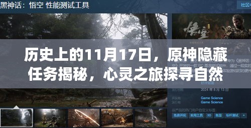 历史上的11月17日，原神隐藏任务揭秘，心灵之旅探寻自然秘境