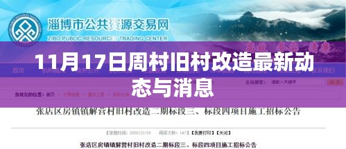 11月17日周村旧村改造最新动态与消息