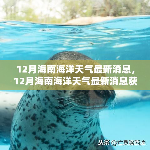 12月海南海洋天气最新消息获取全攻略，轻松掌握海洋天气的秘诀