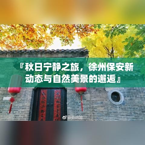 『秋日宁静之旅，徐州保安新动态与自然美景的邂逅』