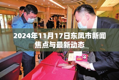 2024年11月17日东凤市新闻焦点与最新动态