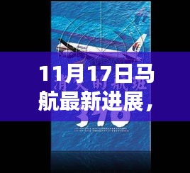 11月17日马航最新进展，11月17日马航最新进展，揭秘最新动态与未来展望