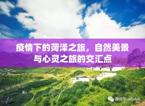 疫情下的菏泽之旅，自然美景与心灵之旅的交汇点