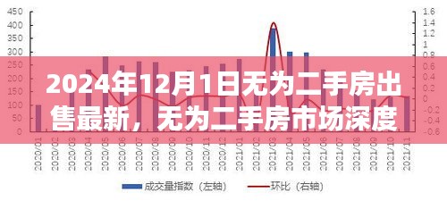 无为二手房市场深度解析，最新房源、用户群体分析及竞品对比体验报告（2024年12月版）