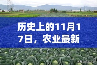 历史上的11月17日，农业最新技术的演变及其深远影响