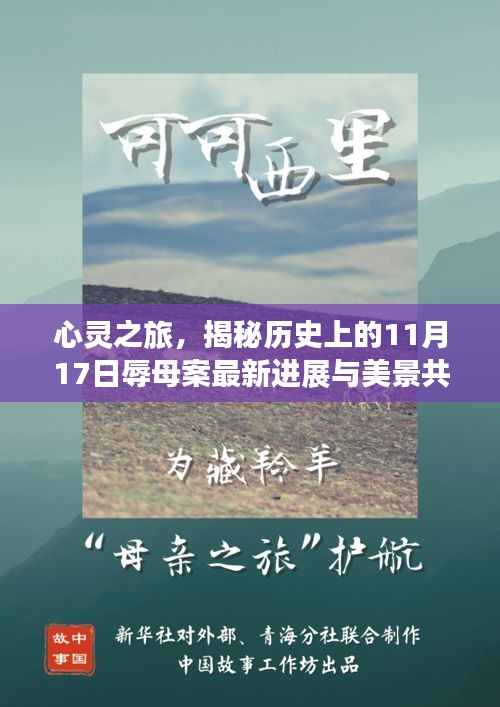 心灵之旅，揭秘历史上的11月17日辱母案最新进展与美景共舞揭秘真相