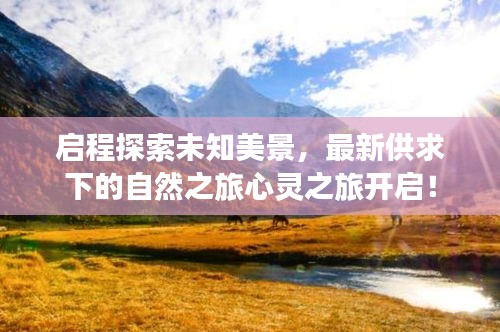 启程探索未知美景，最新供求下的自然之旅心灵之旅开启！