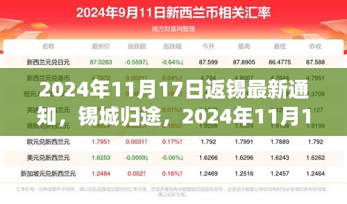 2024年11月17日返锡最新通知，锡城归途，2024年11月17日返锡最新通知解读