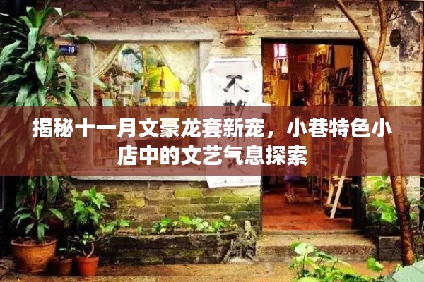 揭秘十一月文豪龙套新宠，小巷特色小店中的文艺气息探索