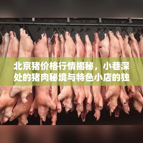 北京猪价格行情揭秘，小巷深处的猪肉秘境与特色小店的独特魅力