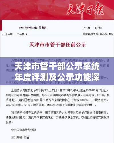 天津市管干部公示系统年度评测及公示功能深度解析——以往年11月17日最新公示为例