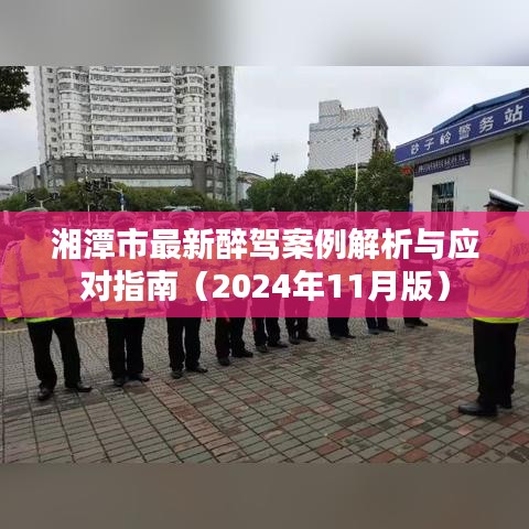 湘潭市最新醉驾案例解析与应对指南（2024年11月版）