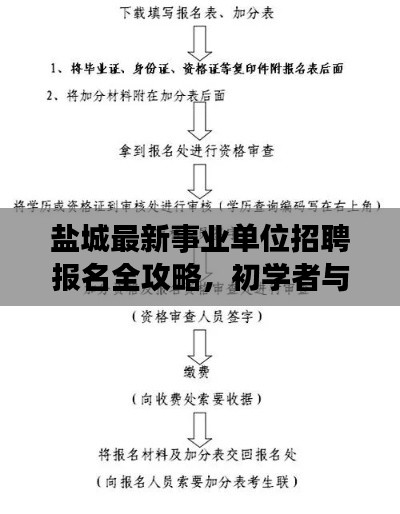 盐城最新事业单位招聘报名全攻略，初学者与进阶用户指南（11月17日）