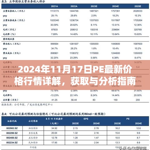 2024年11月17日PE最新价格行情详解，获取与分析指南