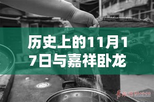 历史上的11月17日与嘉祥卧龙山景区的时光印记揭秘最新动态