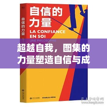 超越自我，图集的力量塑造自信与成就——最新图集学习变化回顾