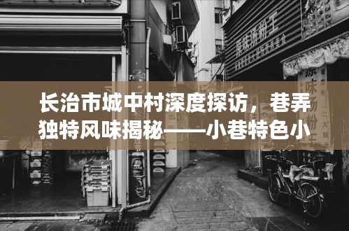 长治市城中村深度探访，巷弄独特风味揭秘——小巷特色小店的新鲜报道