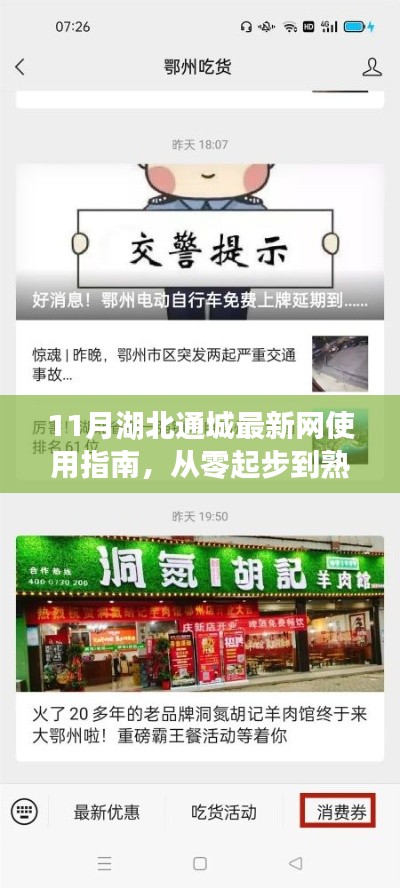 11月湖北通城最新网使用指南，从零起步到熟练操作全攻略