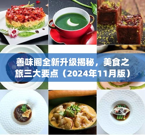 善味阁全新升级揭秘，美食之旅三大要点（2024年11月版）