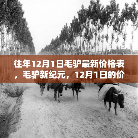 毛驴新纪元，12月1日价格表揭示与自然治愈力量的连结