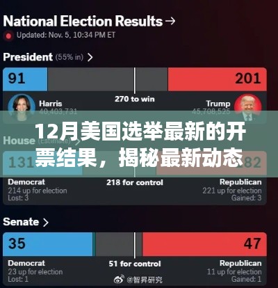 深度解析，最新动态揭秘12月美国选举开票结果