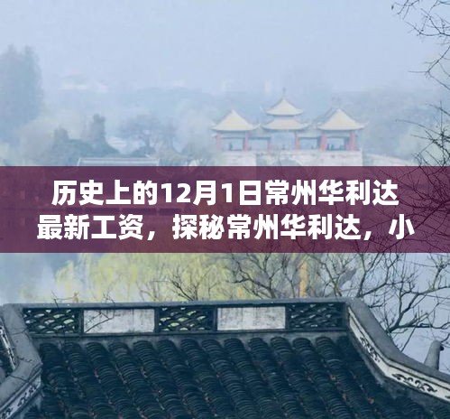 揭秘常州华利达工资历史与小巷深处的特色小店探访