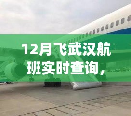 全面解析，12月飞武汉航班实时查询指南