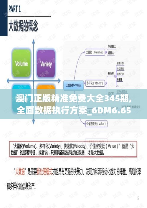 澳门正版精准免费大全345期,全面数据执行方案_6DM6.656