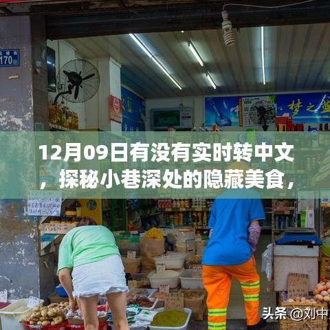 探秘小巷深处美食，特色小店的惊喜之旅与实时中文分享日（12月09日）