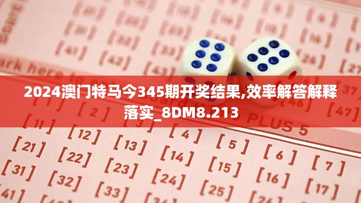 2024澳门特马今345期开奖结果,效率解答解释落实_8DM8.213