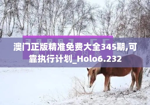 澳门正版精准免费大全345期,可靠执行计划_Holo6.232