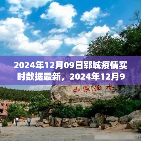 2024年12月9日郓城疫情实时数据报告，最新进展与深度分析