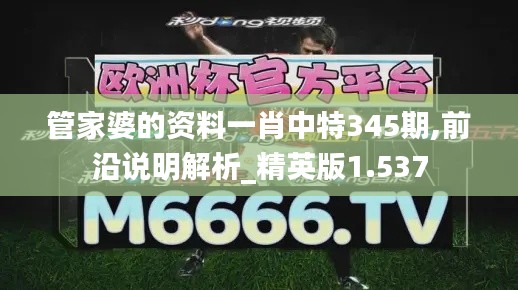 管家婆的资料一肖中特345期,前沿说明解析_精英版1.537