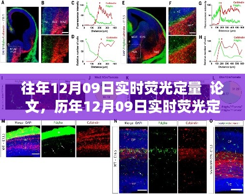 历年12月09日实时荧光定量研究深度解析与探索，历年进展与最新论文探索